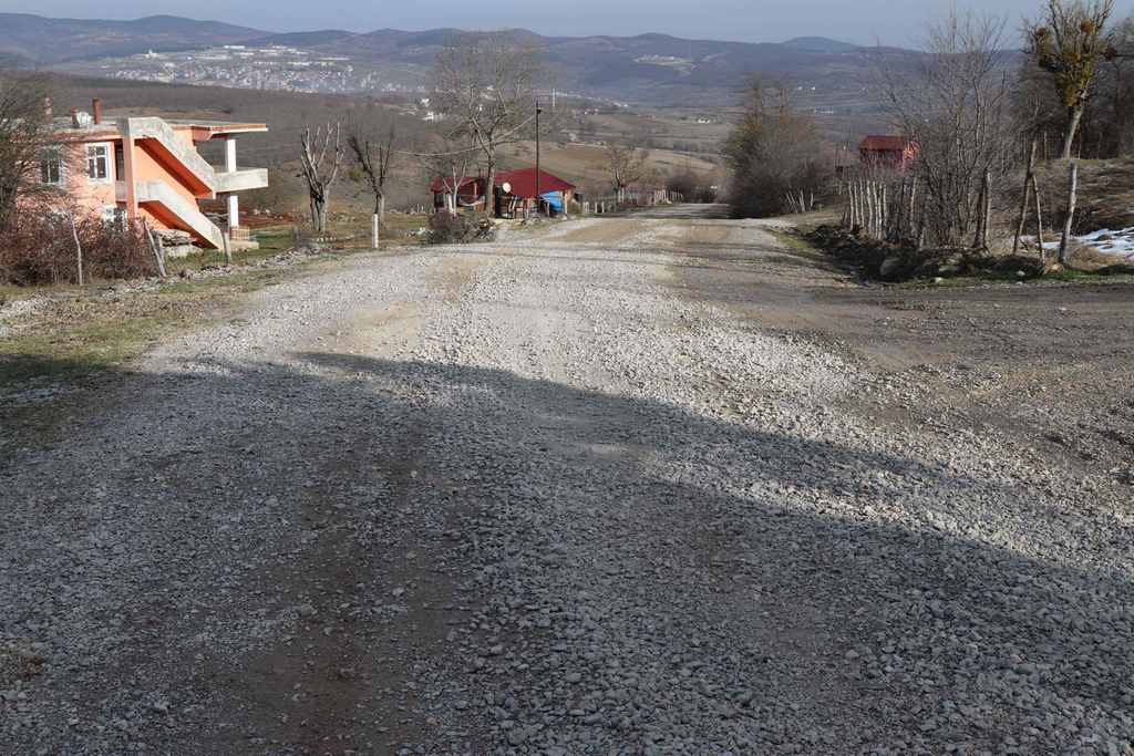 Karlı